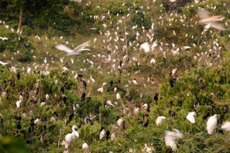 Tour Du Lịch Hà Nội - Miền Tây - Sài Gòn 6 Ngày